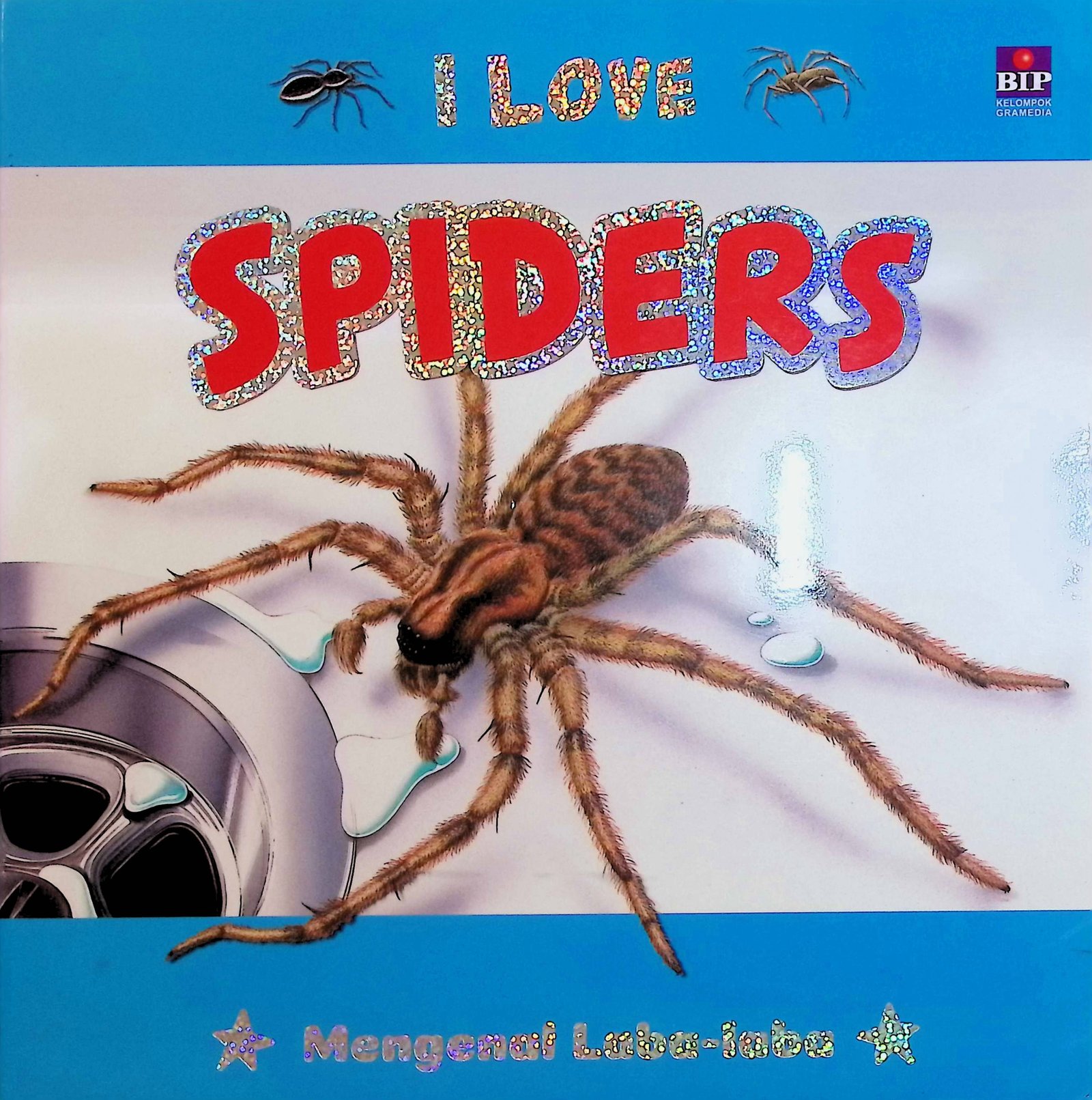 Cover I Love Spiders :  Mengenal Laba-Laba / Safran Yusri (Pengalih Bahasa); Febriani; Jarvi Kurnia Lestari (Editor)
