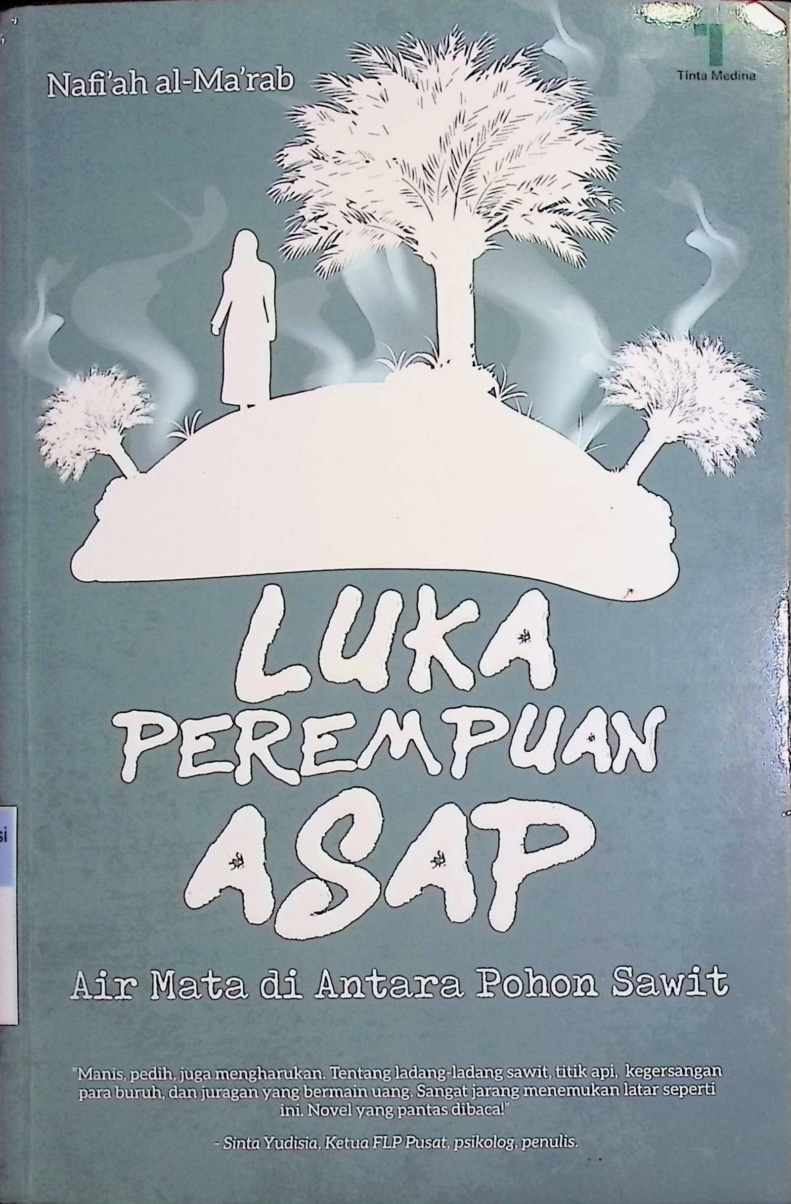 Cover Luka Perempuan Asap :  Air Mata di Antara Pohon Sawit / Nafi'ah al-Ma'rab (Penulis); Said Kamil (Editor)