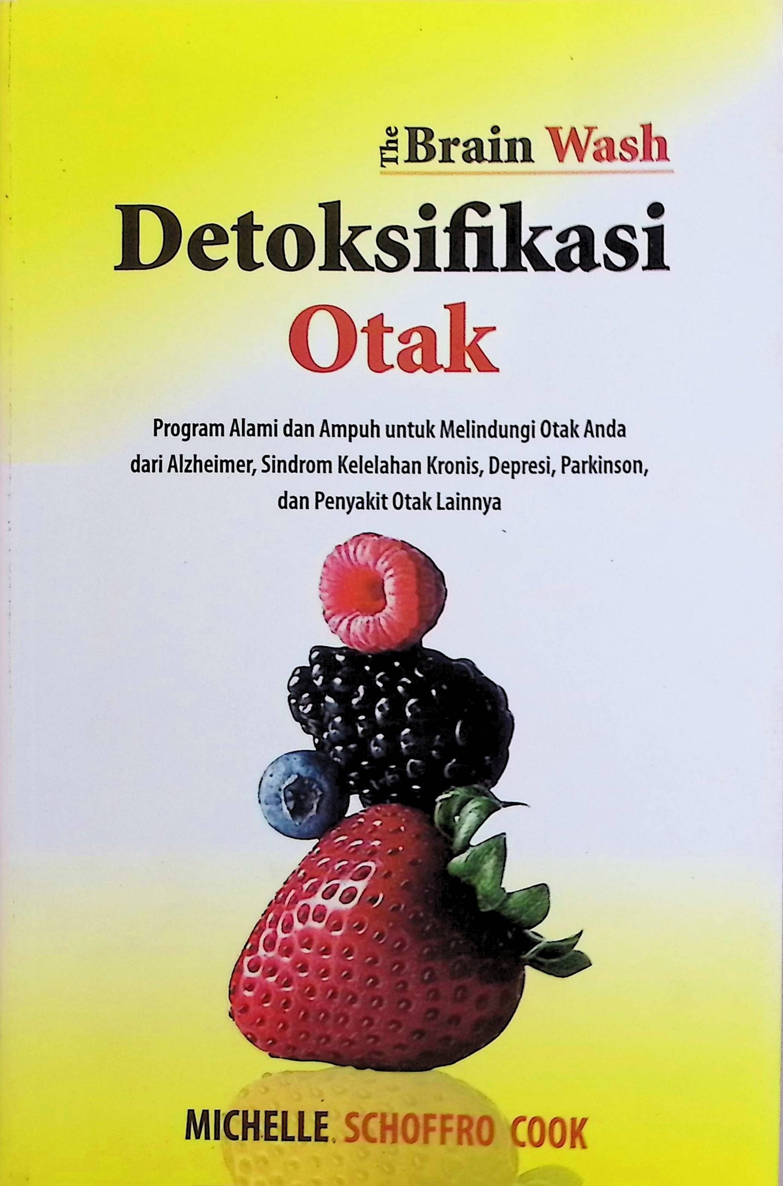 Cover The Brain Wash Detoksifikasi Otak / Michelle Schoffro Cook (Penulis); Dyah Catur Setianingsih (Penerjemah)