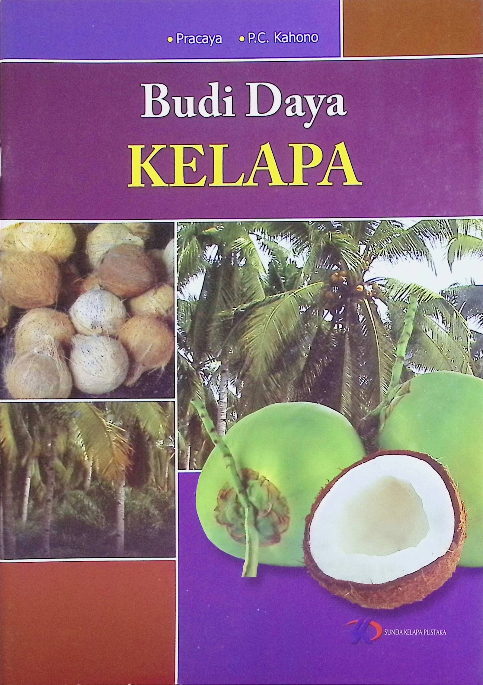 Cover Budi Daya Kelapa / Pracaya (Penulis); Pekik Nur Sasongko (Editor)