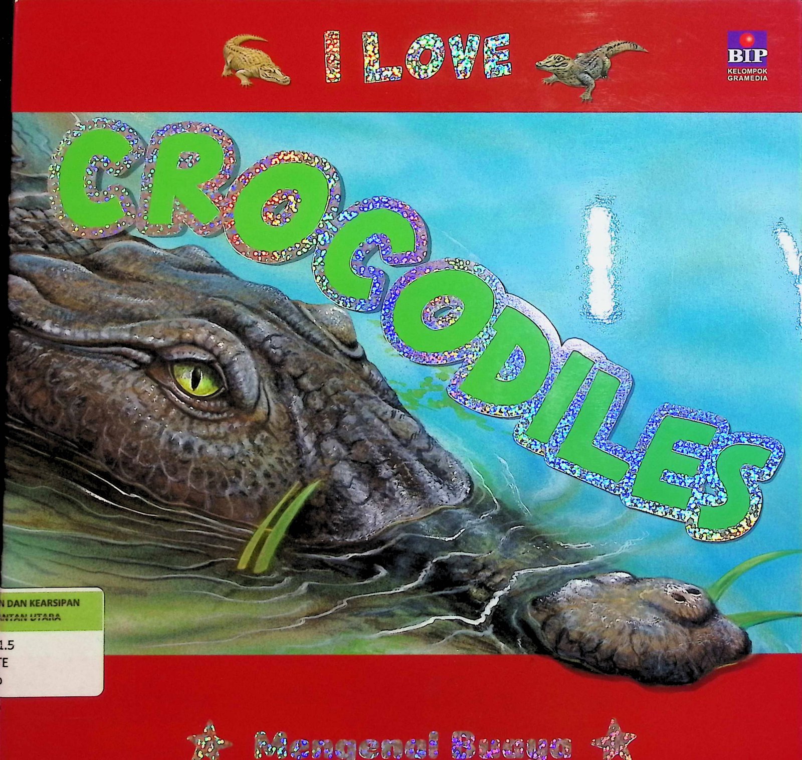 Cover I Love Crocodiles :  Mengenal Buaya / Safran Yusri (Pengalih Bahasa); Febriani & Jarvi Kurnia Lestari (Editor)