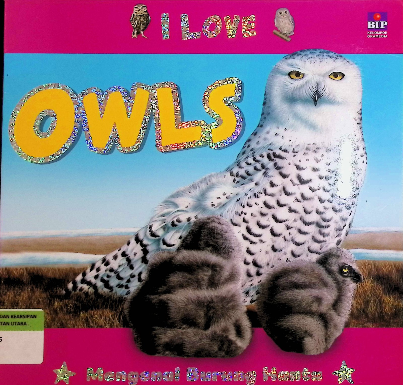 Cover I Love Owls :  Mengenal Burung Hantu / Safran Yusri (Pengalih Bahasa); Agus Wijiyanto & Gabriella Felicia (Editor)