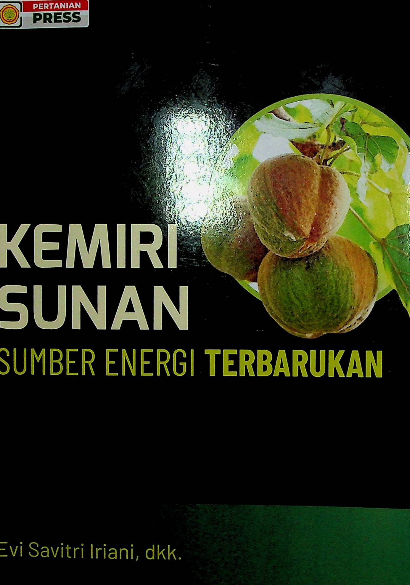 Cover Kemiri Sunan Sumber Energi Terbarukan / Evi Savitri Iriani (Penulis); Ifan Muttaqien & Eni Kustanti (Editor)