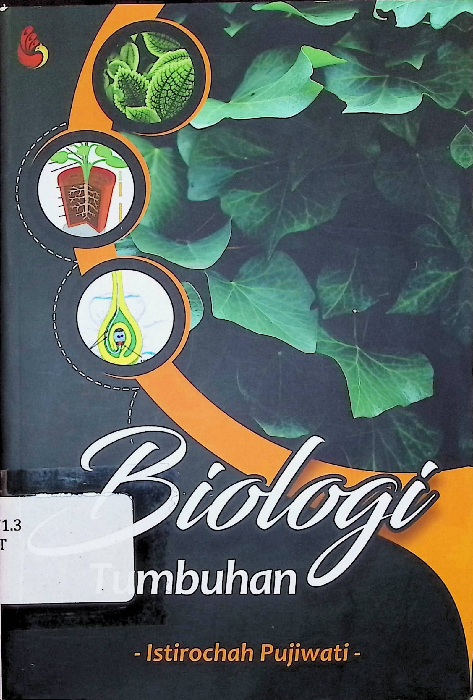 Cover Biologi Tumbuhan / Istirochah Pujiwati (Penulis)
