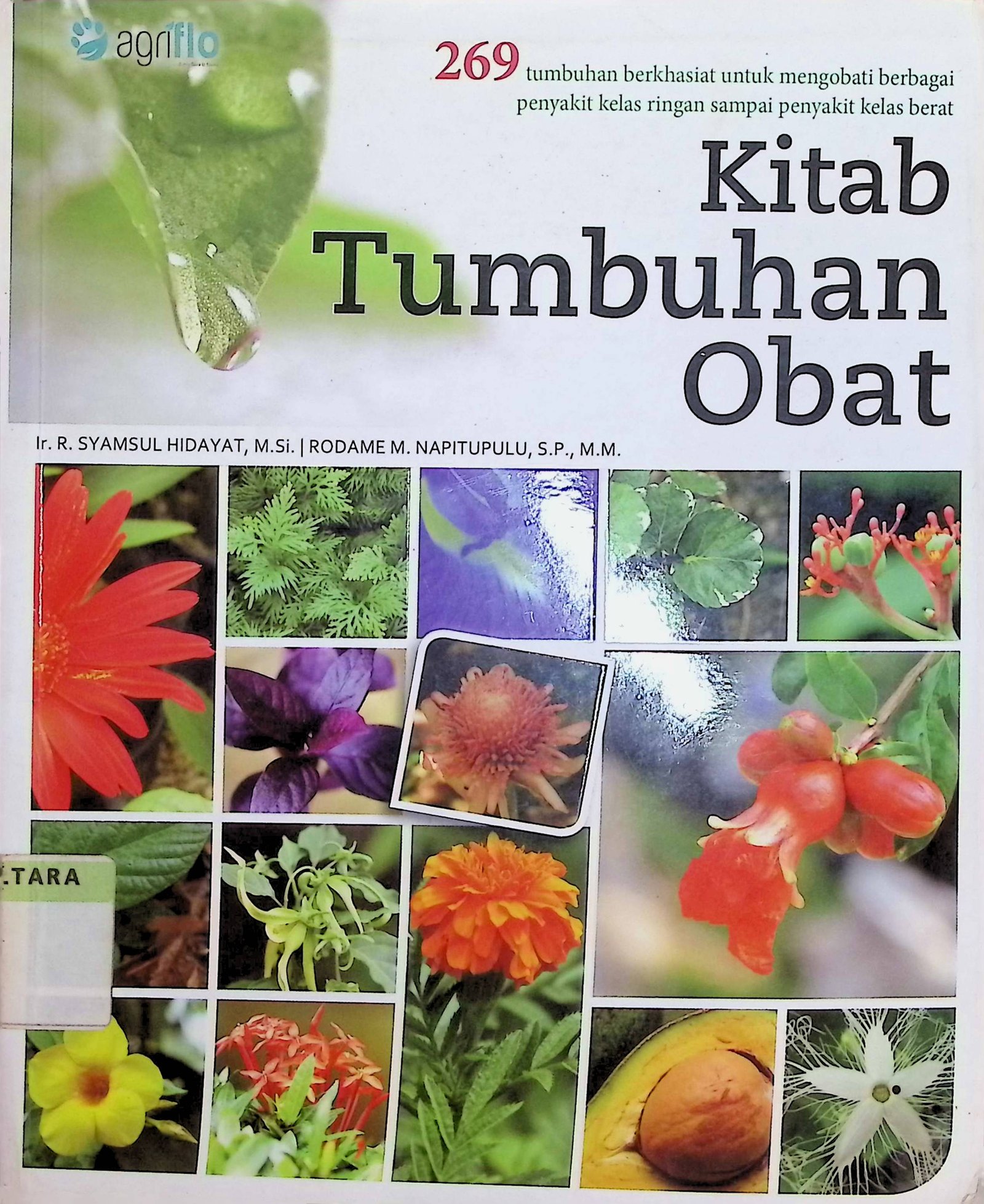 Cover Kitab Tumbuhan Obat / Syamsul Hidayat R (Penyusun); Febriani Ai Nurrohmah (Editor)